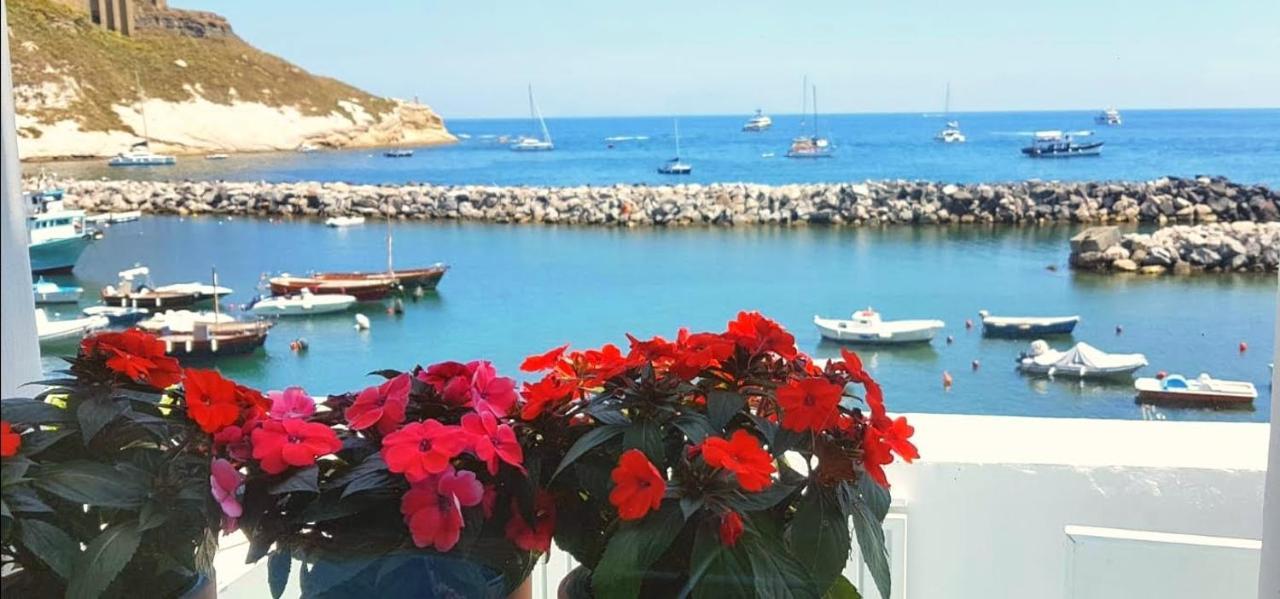 Casa Gastronomo Lejlighed Procida Eksteriør billede
